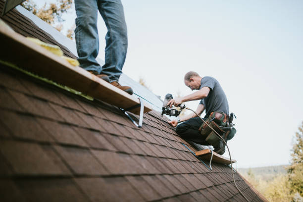 Quick and Trustworthy Emergency Roof Repair Services in Pegram, TN